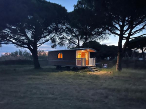 La cabane d'Ariane